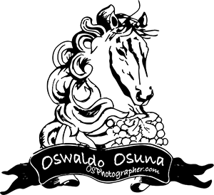 OSWALDO OSUNA ||  WEDDING PHOTOGRAPHER | MEXICO 